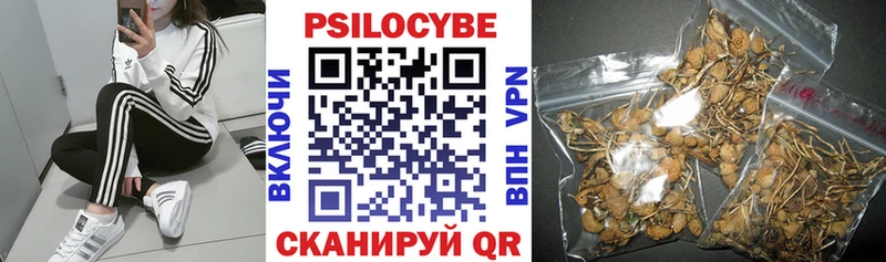 Псилоцибиновые грибы ЛСД  Купить закладки  Кизилюрт 